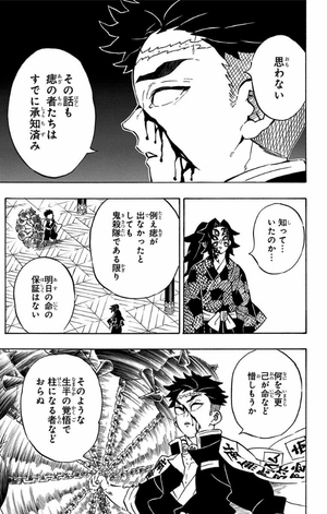 bộ 鬼滅の刃 20 : ジャンプコミックス - kimetsu no yaiba tsuujouban 20 - Ảnh 16