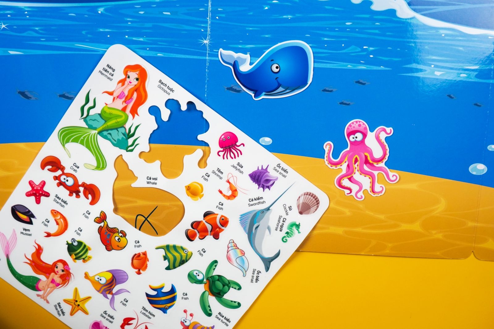 Bóc Dán Sử Dụng Nhiều Lần - Thám Hiểm Đại Dương - Ảnh 5