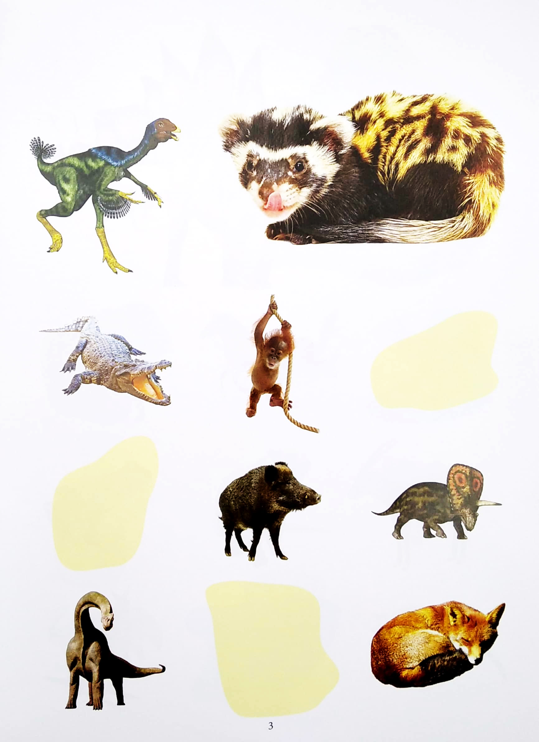 bóc dán thông minh - khủng long và động vật hoang dã (tái bản 2022) - Ảnh 5