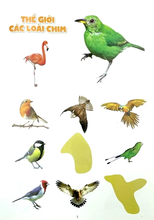 bóc dán thông minh - thế giới các loài chim - Ảnh 3