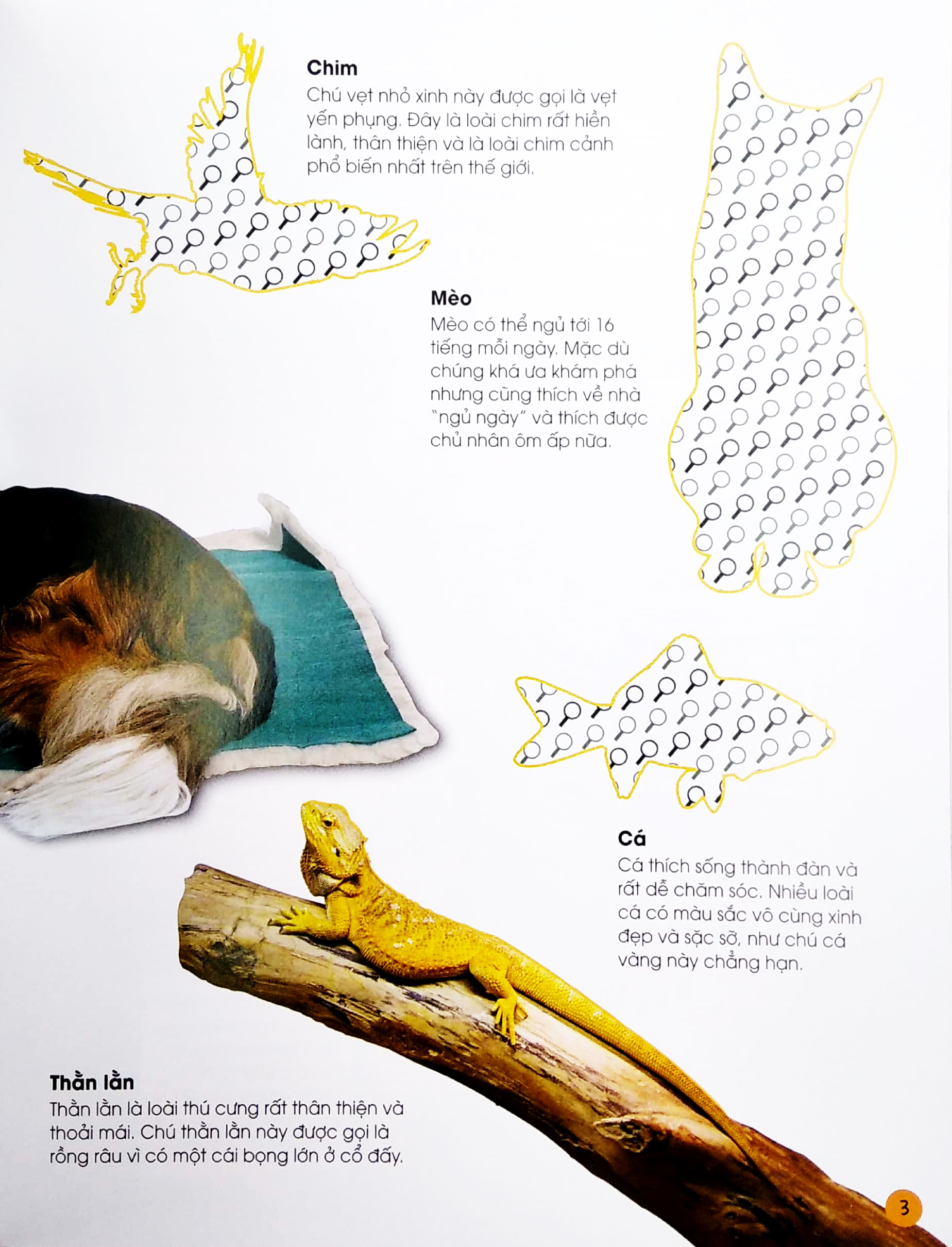 bóc dán tuyệt đỉnh - các loài thú cưng (tái bản) - Ảnh 5