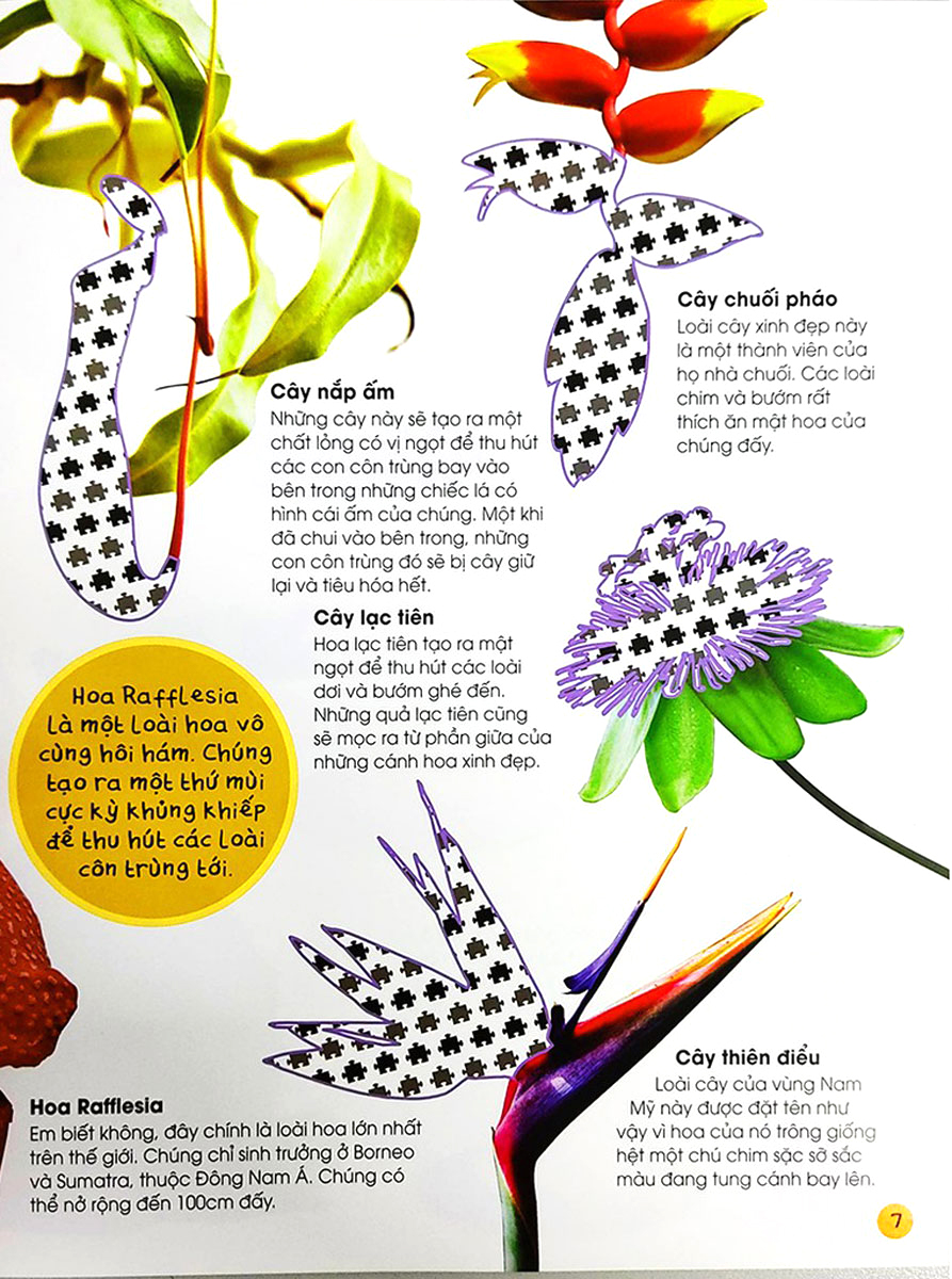 bóc dán tuyệt đỉnh - cuộc sống trong rừng (tái bản) - Ảnh 3