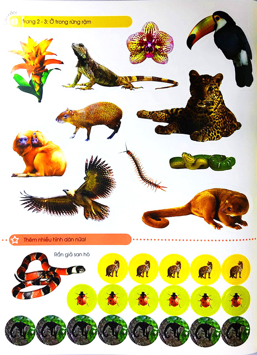 bóc dán tuyệt đỉnh - cuộc sống trong rừng (tái bản) - Ảnh 4