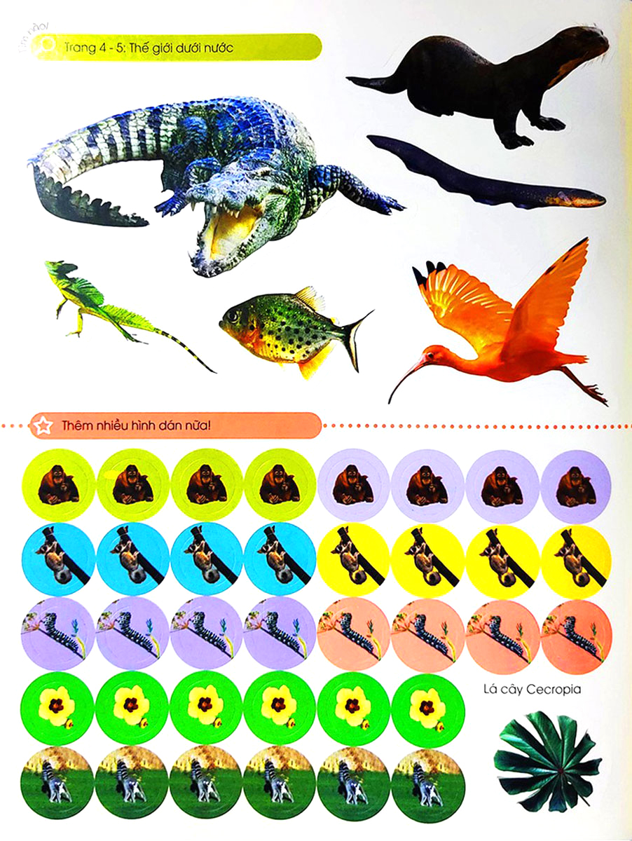 bóc dán tuyệt đỉnh - cuộc sống trong rừng (tái bản) - Ảnh 5