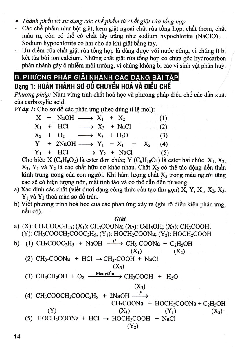 Bồi Dưỡng Học Sinh Giỏi Hoá Học 12 Theo Chuyên Đề - Ảnh 8
