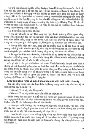 bồi dưỡng học sinh giỏi sinh 11 - Ảnh 6