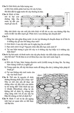 bồi dưỡng học sinh giỏi sinh 11 - Ảnh 8