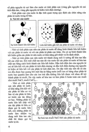 bồi dưỡng học sinh giỏi sinh học 10 - Ảnh 6