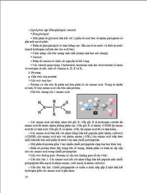 bồi dưỡng học sinh giỏi sinh học 10 (dùng chung cho các bộ sgk hiện hành) - Ảnh 8