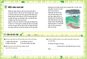 bồi dưỡng kĩ năng đọc hiểu cho học sinh tiểu học - chuyện thú vị về loài vật - Ảnh 7