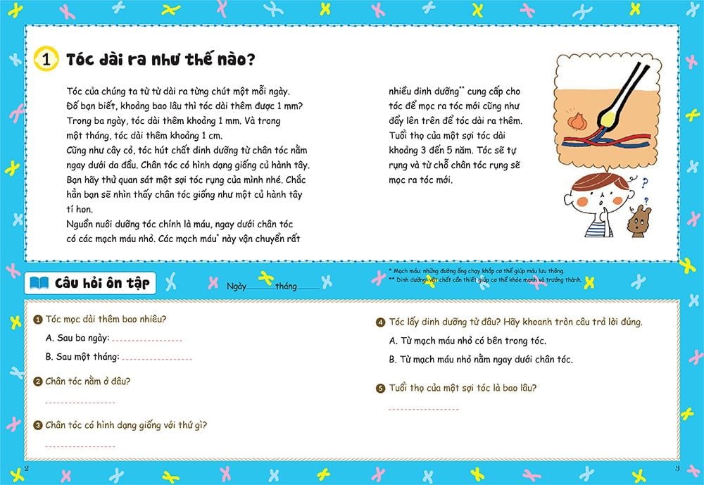 bồi dưỡng kĩ năng đọc hiểu cho học sinh tiểu học - thắc mắc về cơ thể người - Ảnh 4