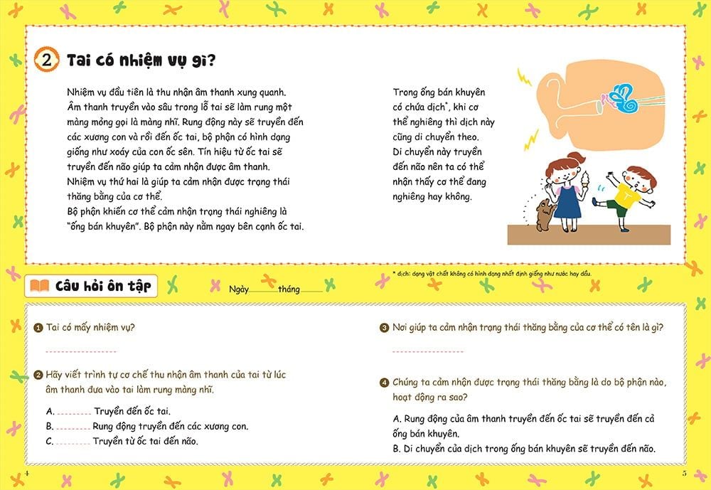 bồi dưỡng kĩ năng đọc hiểu cho học sinh tiểu học - thắc mắc về cơ thể người - Ảnh 5