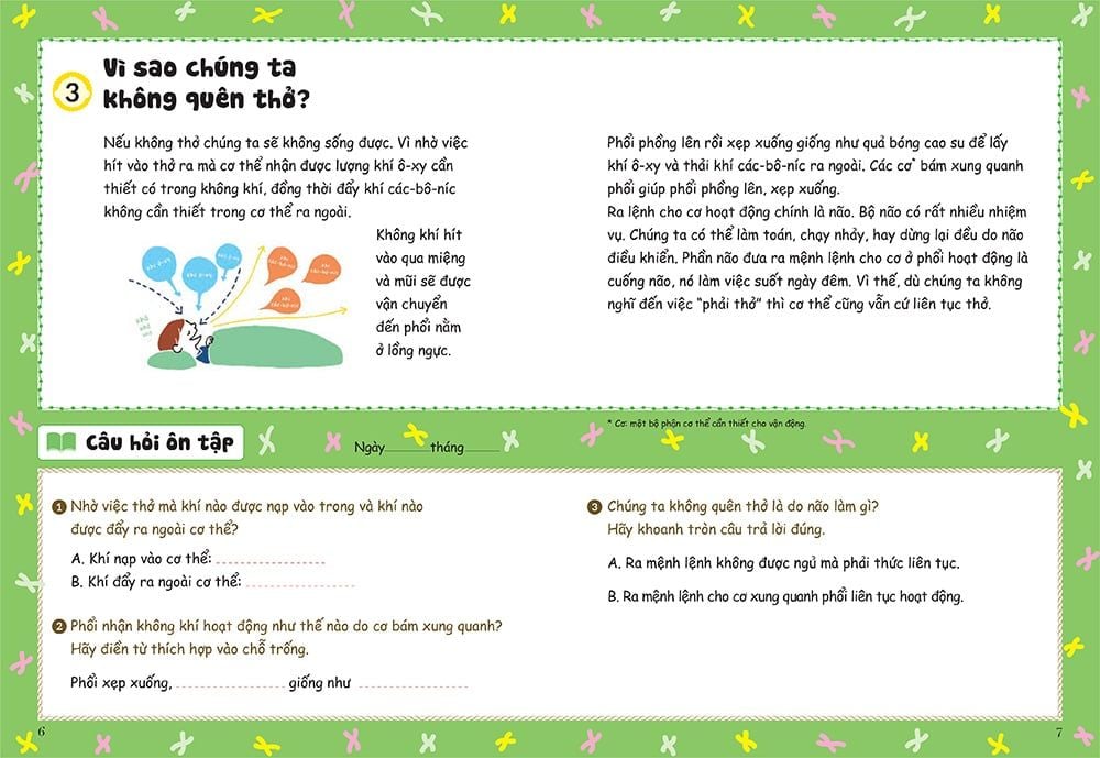 bồi dưỡng kĩ năng đọc hiểu cho học sinh tiểu học - thắc mắc về cơ thể người - Ảnh 6