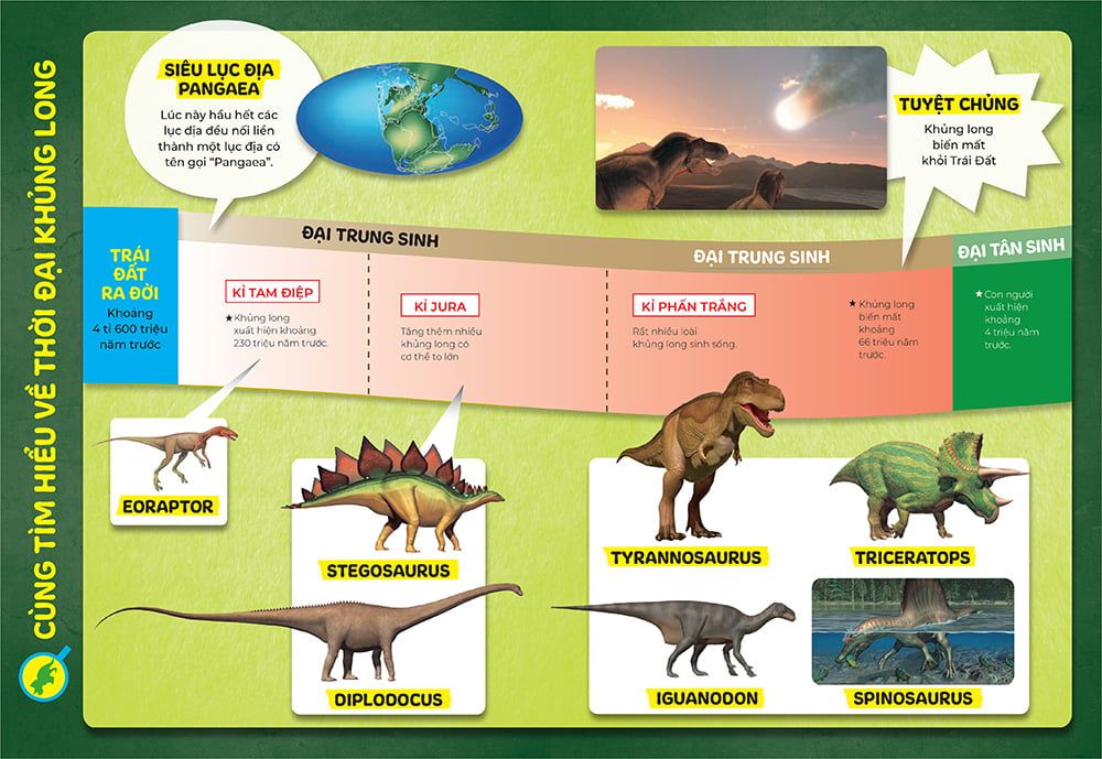bồi dưỡng kĩ năng đọc hiểu cho học sinh tiểu học - thế giới khủng long - Ảnh 4