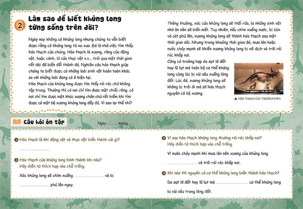 bồi dưỡng kĩ năng đọc hiểu cho học sinh tiểu học - thế giới khủng long - Ảnh 6