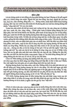 bồi dưỡng năng khiếu văn 5 - Ảnh 4