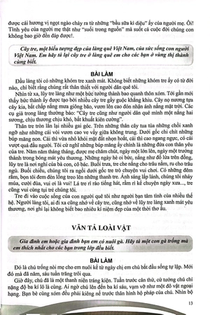 bồi dưỡng năng khiếu văn 5 - Ảnh 5