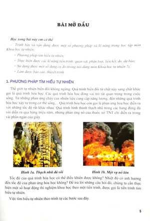 bồi dưỡng năng lực tự học môn khoa học tự nhiên 7 - Ảnh 5