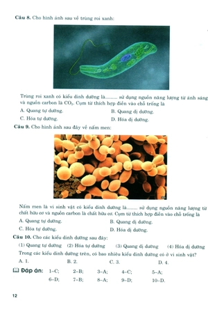 bồi dưỡng năng lực tự học sinh học 11 - Ảnh 12