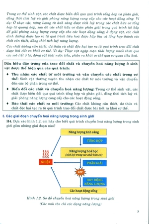 bồi dưỡng năng lực tự học sinh học 11 - Ảnh 7