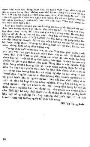 bồi dưỡng ngữ văn 9 - Ảnh 10