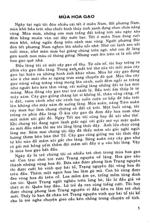 bồi dưỡng ngữ văn 9 - Ảnh 3