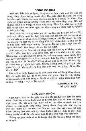 bồi dưỡng ngữ văn 9 - Ảnh 7