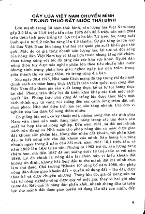 bồi dưỡng ngữ văn 9 - Ảnh 9
