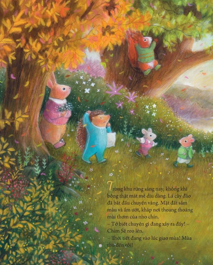 bốn mùa bên nhau - quà thu dịu dàng - Ảnh 3