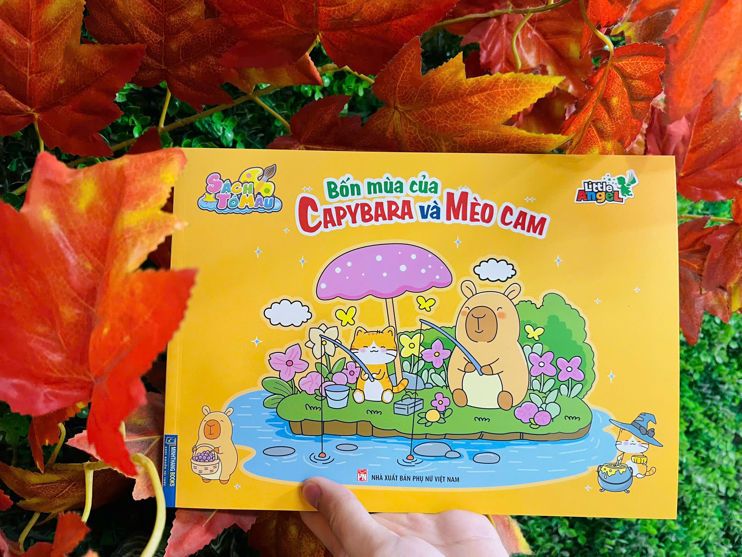 bốn mùa của capybara và mèo cam - Ảnh 3