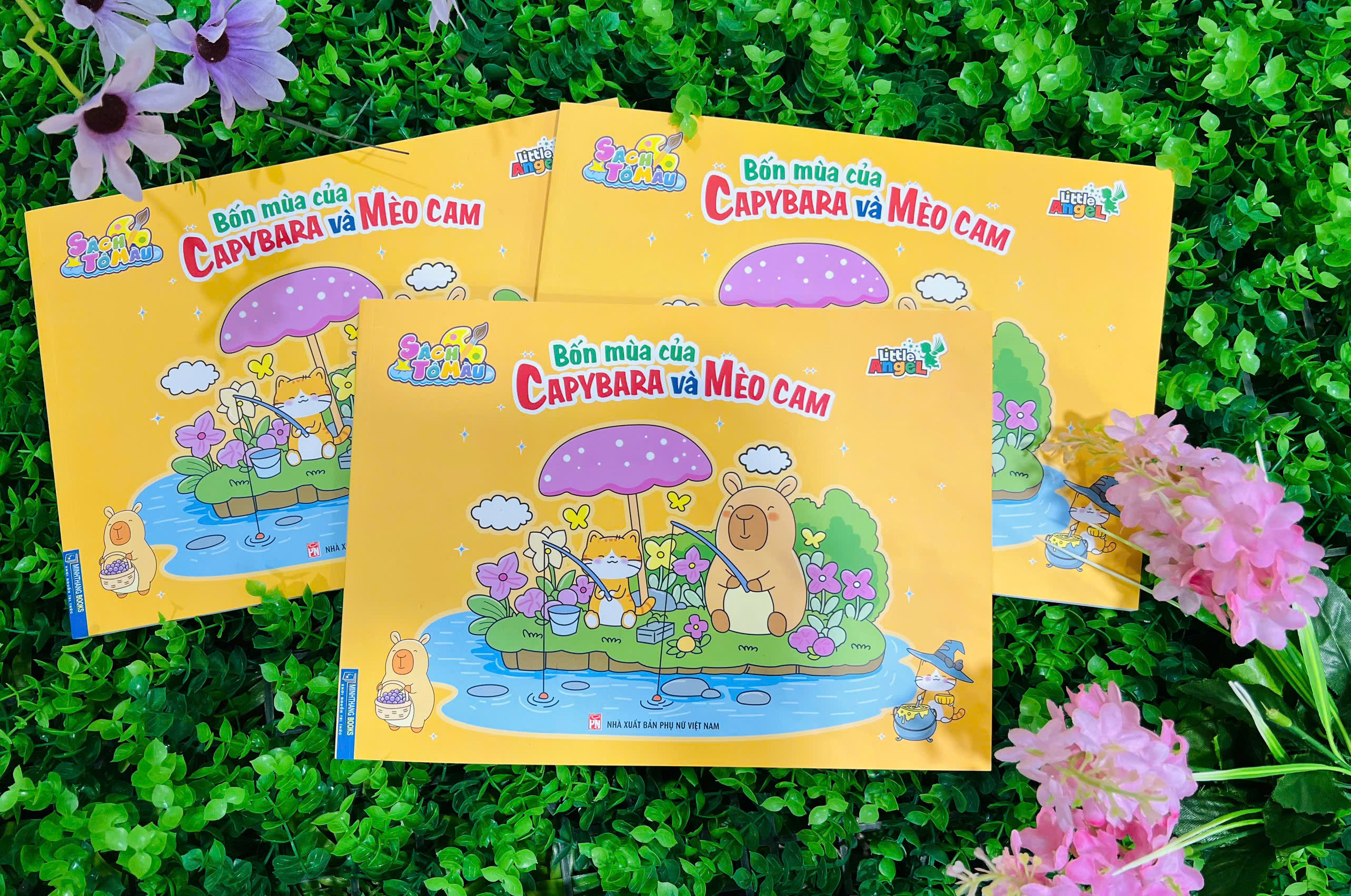 bốn mùa của capybara và mèo cam - Ảnh 4