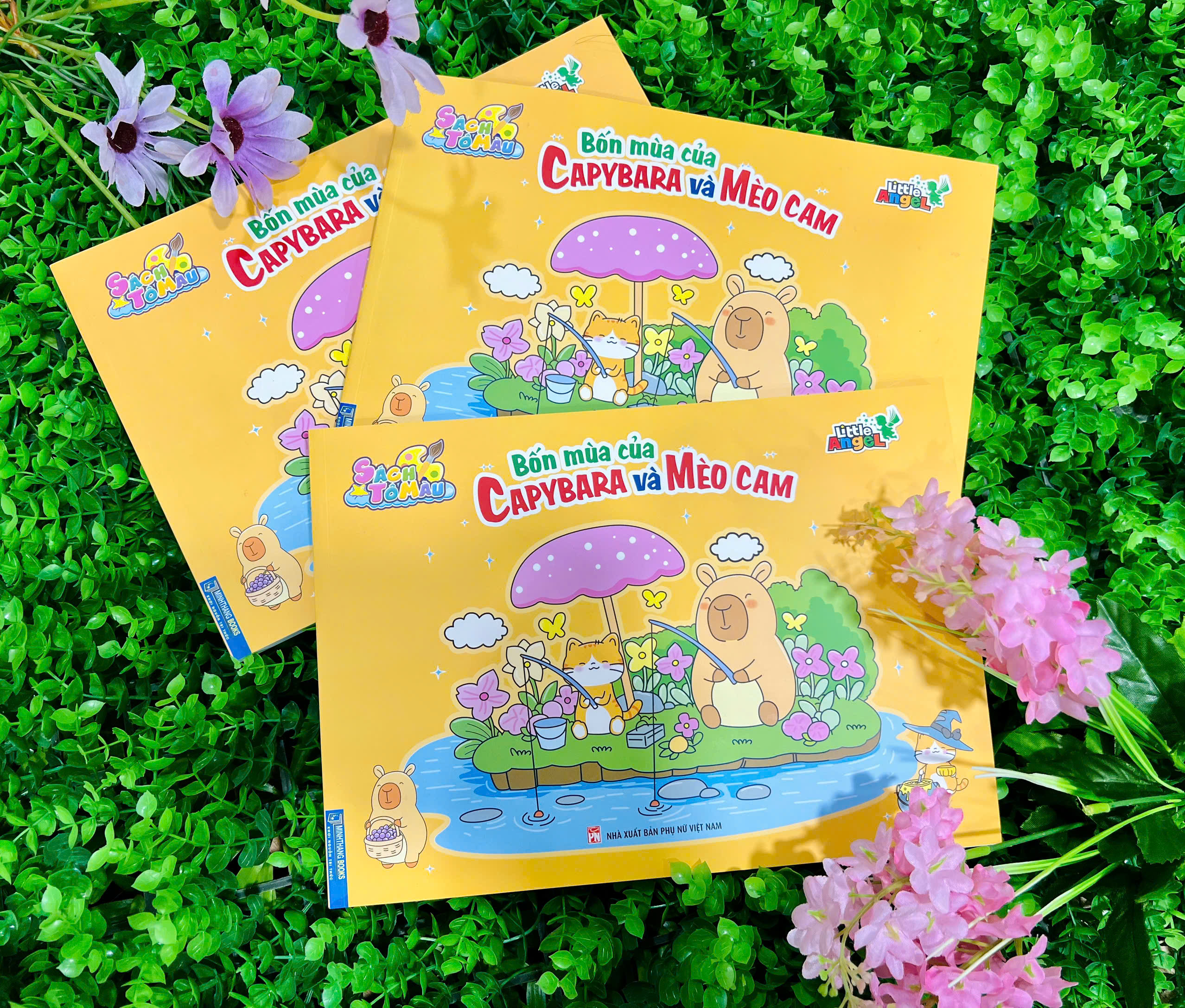 bốn mùa của capybara và mèo cam - Ảnh 5