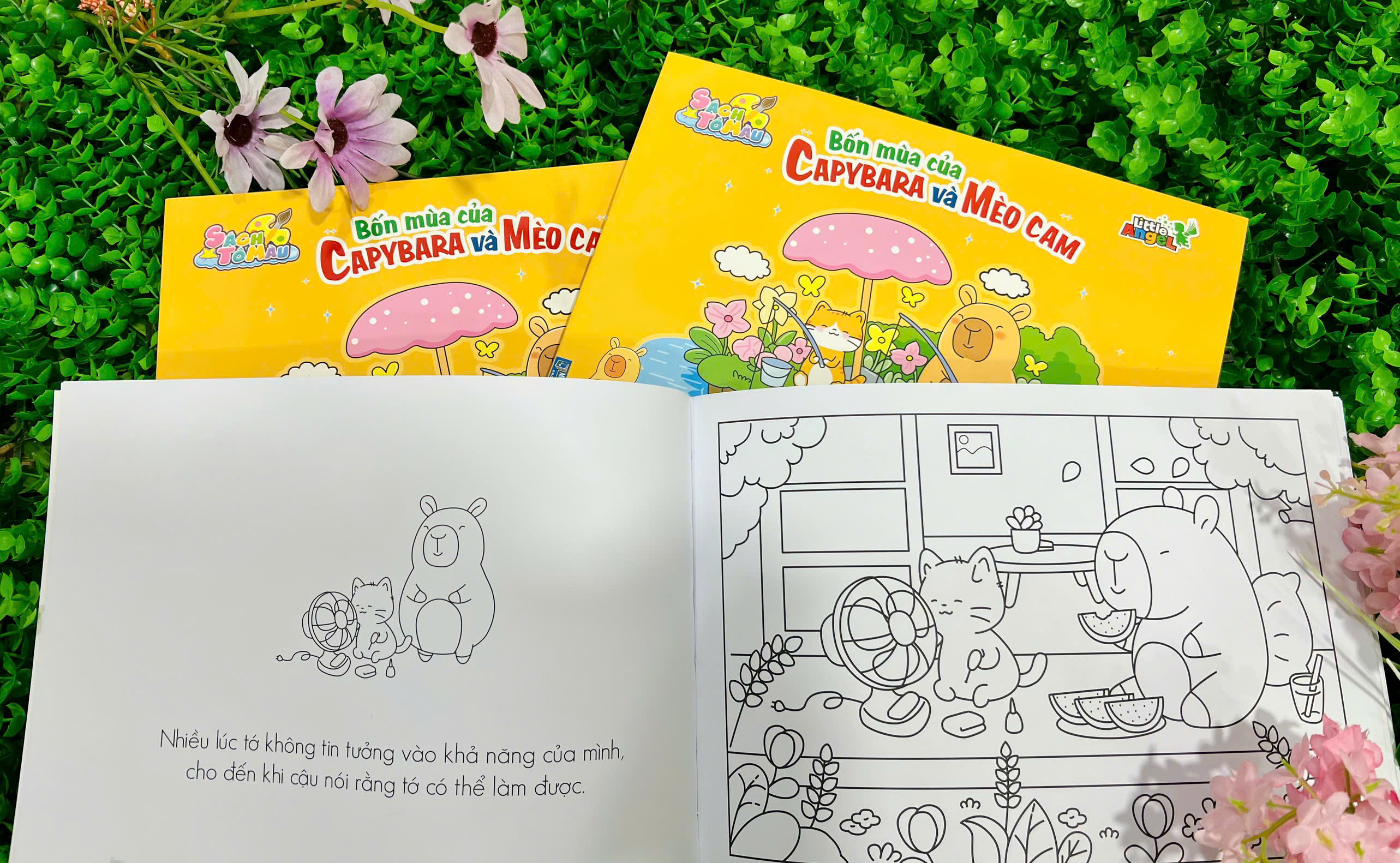 bốn mùa của capybara và mèo cam - Ảnh 7