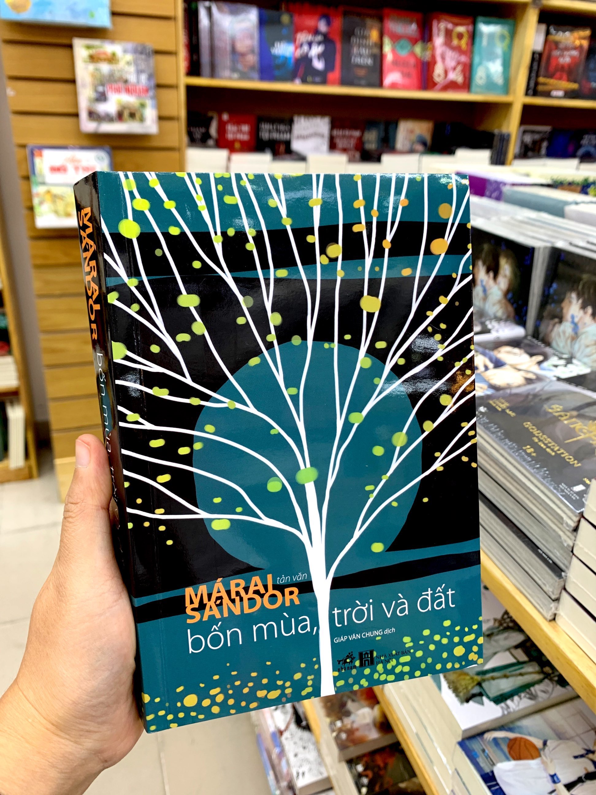 bốn mùa, trời và đất - Ảnh 8