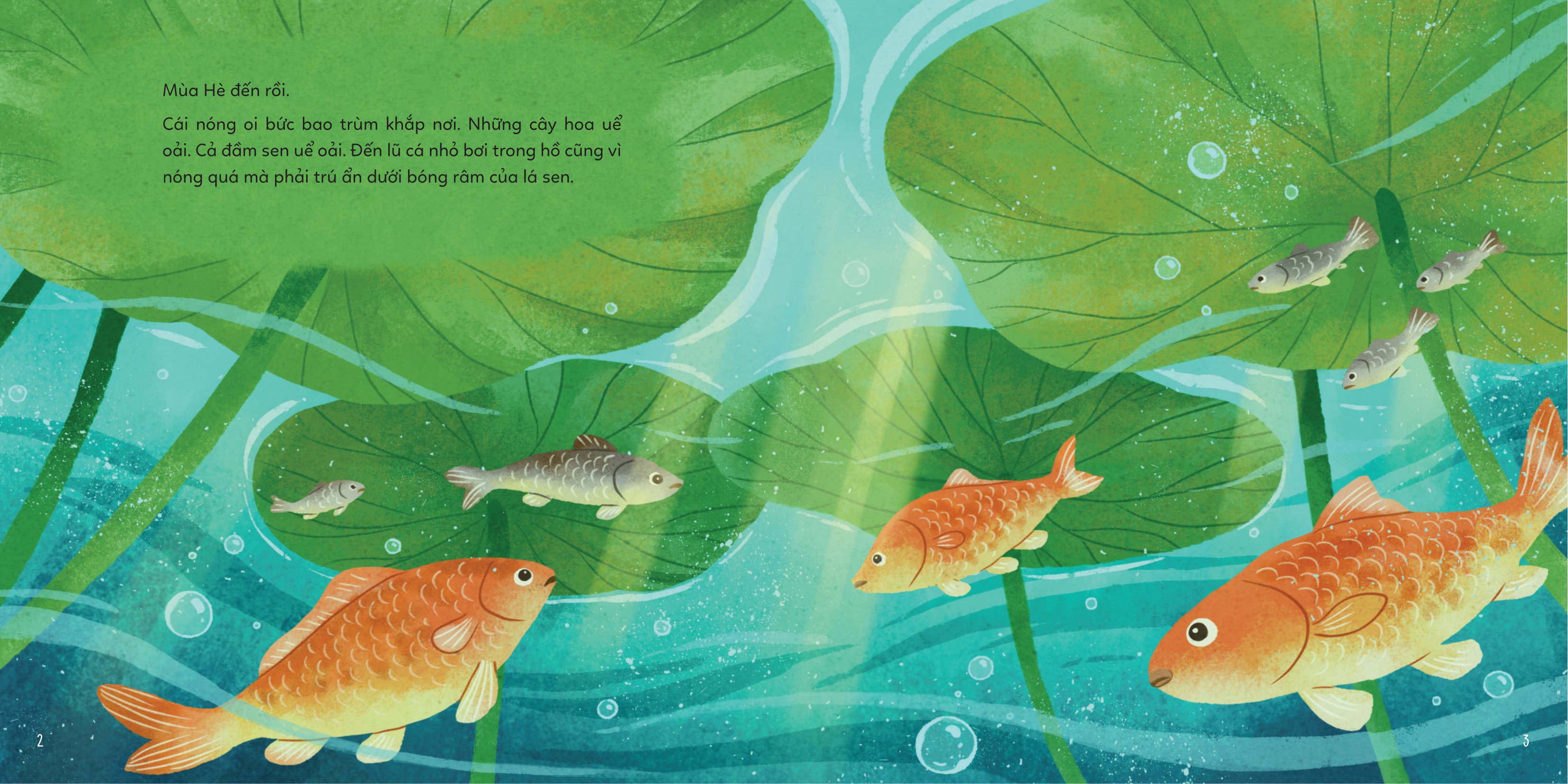 Bốn Mùa Yêu Thương - Cuộc Phiêu Lưu Mùa Hè - Ảnh 3