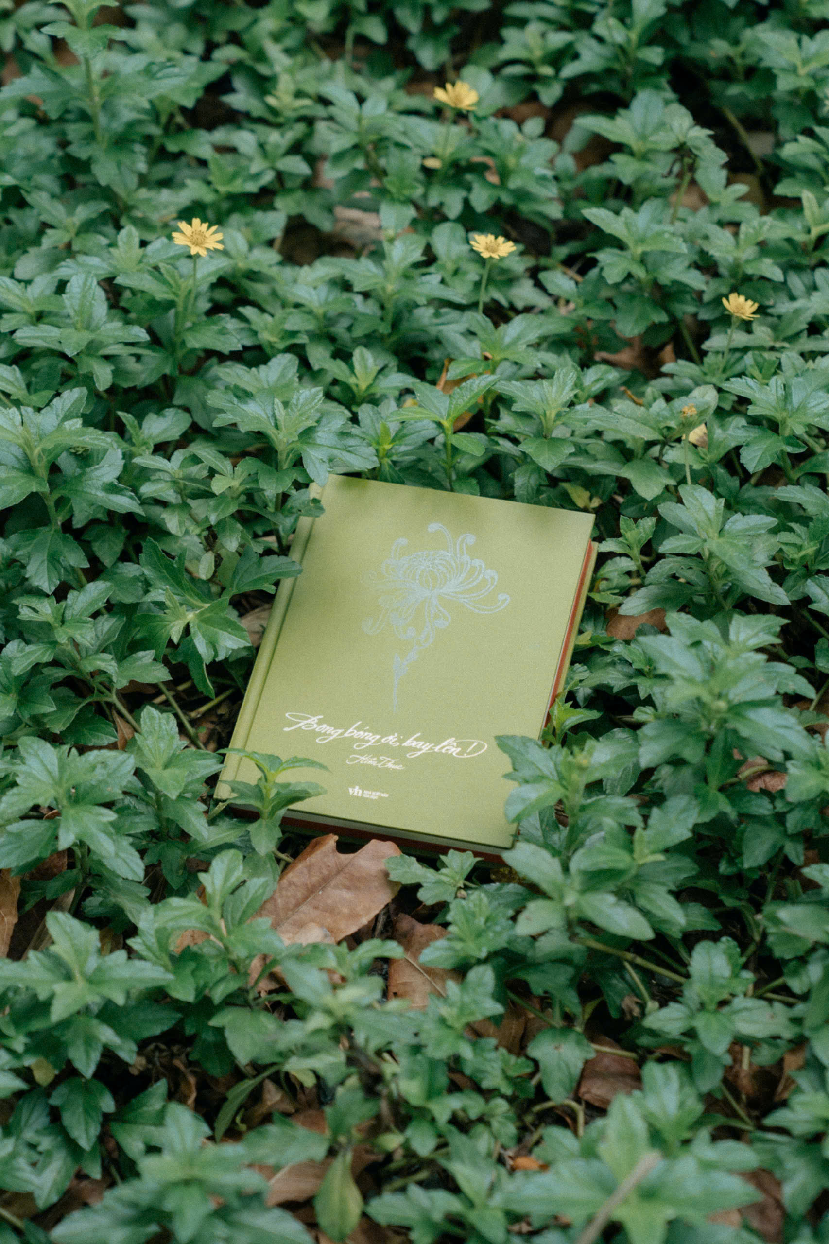 Bong Bóng Ơi, Bay Lên! - Bìa Cứng - Ảnh 3