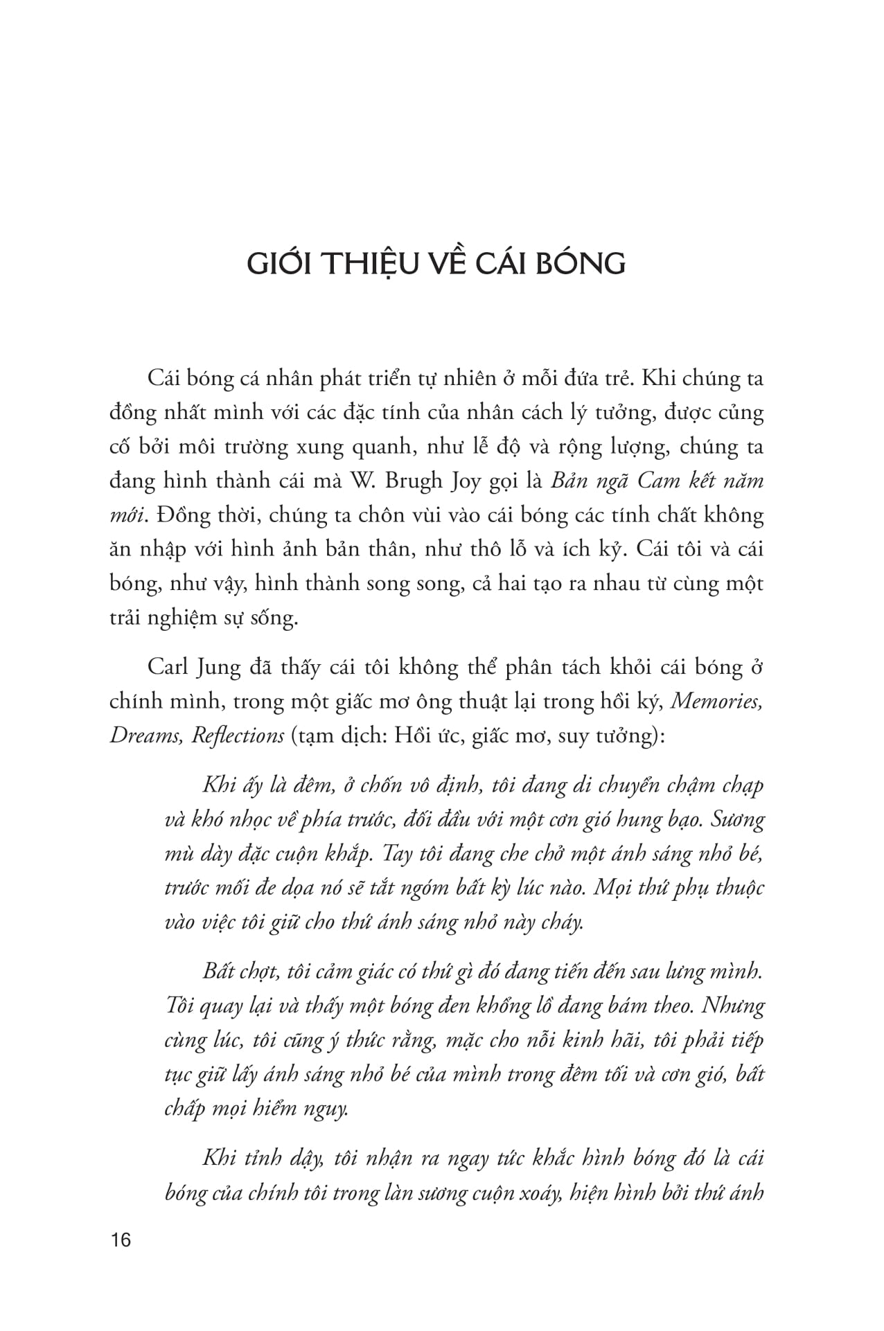 Bóng Tối - Bản Ngã - Nhận Thức - Ảnh 12