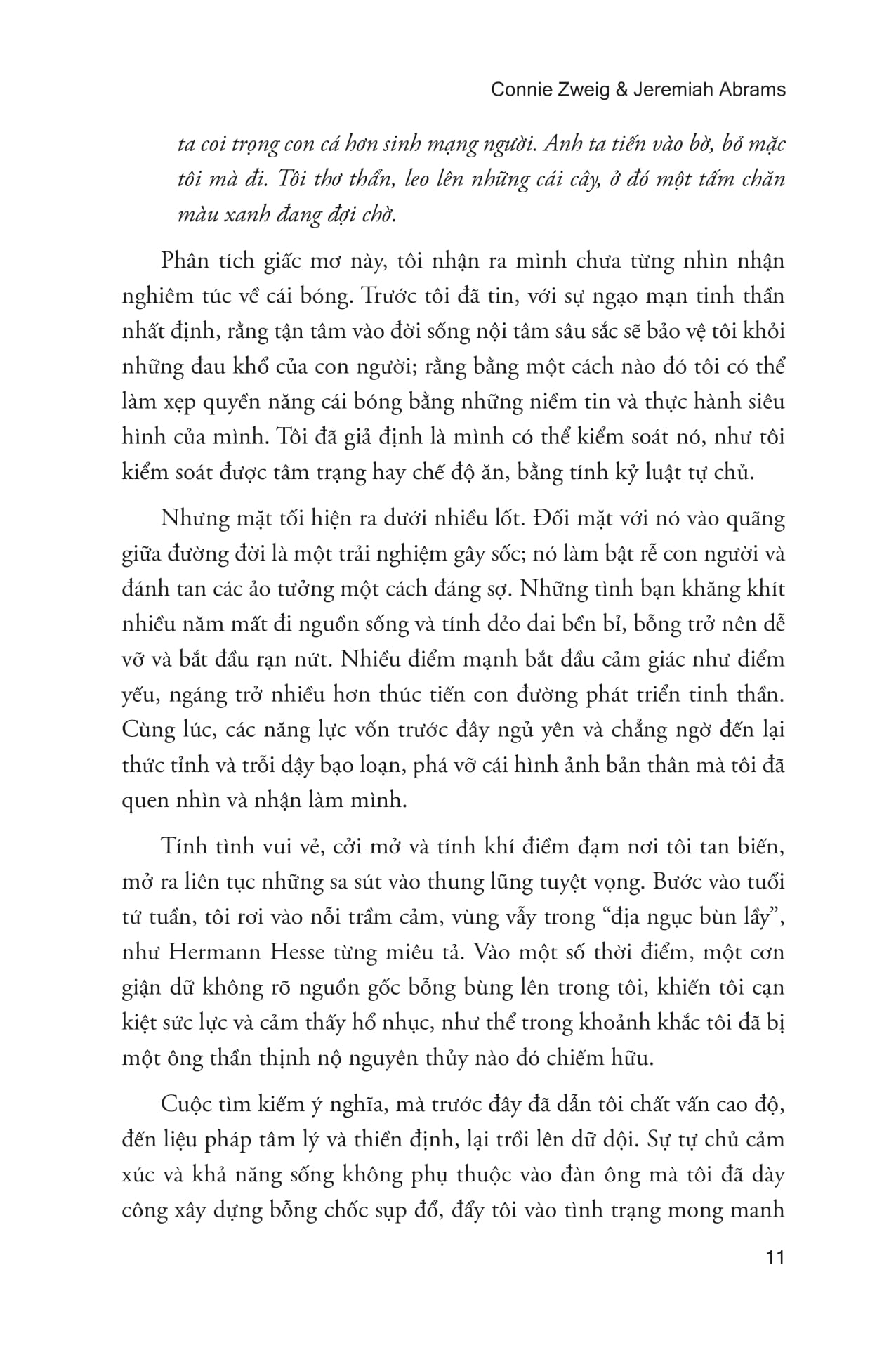 Bóng Tối - Bản Ngã - Nhận Thức - Ảnh 7