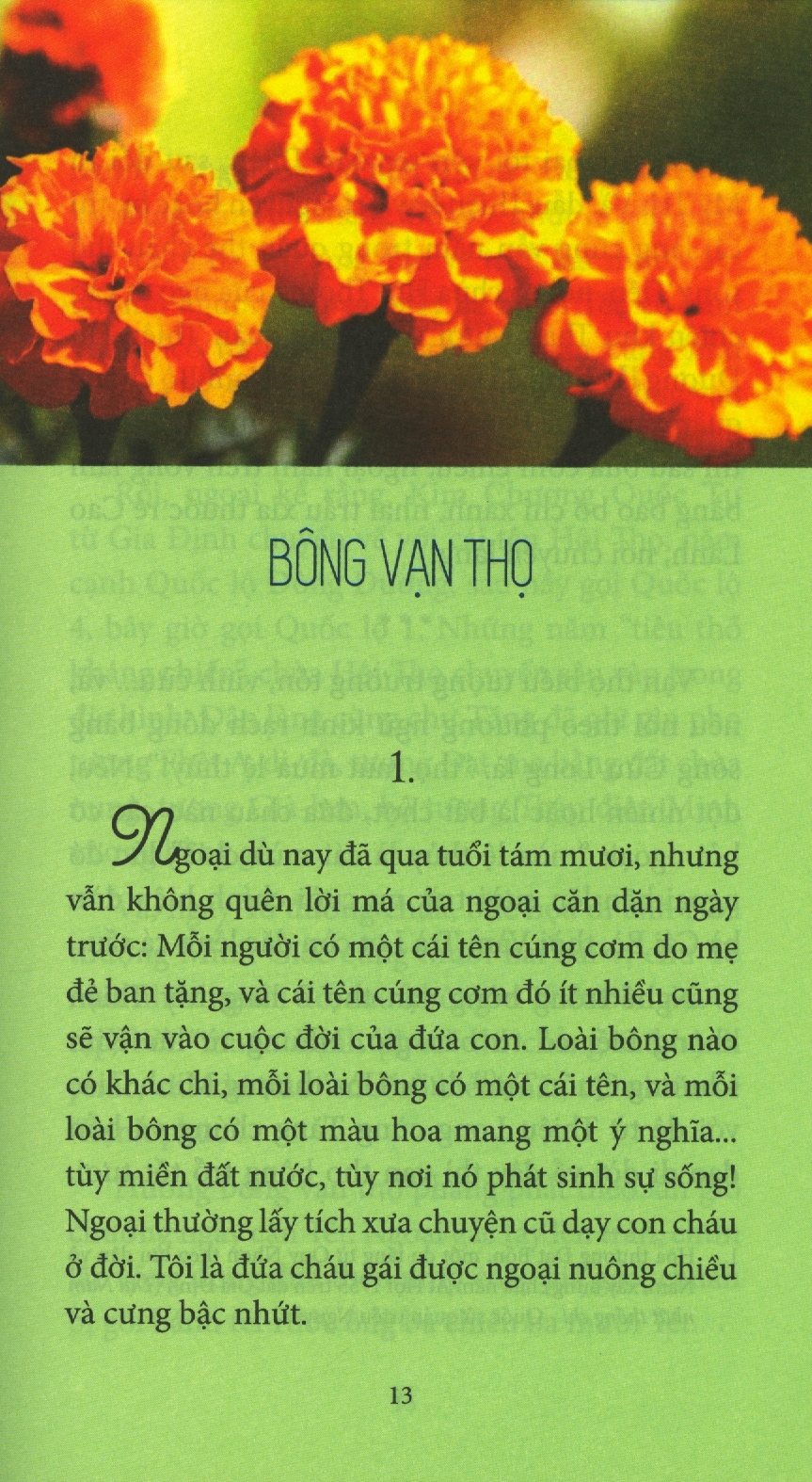 bông trái quê nhà - Ảnh 4