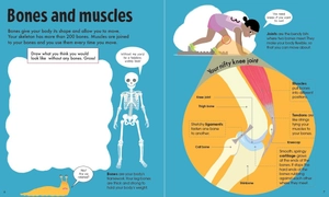 book & jigsaw - fun facts - the human body - Ảnh 3