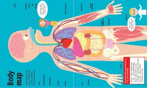 book & jigsaw - fun facts - the human body - Ảnh 4