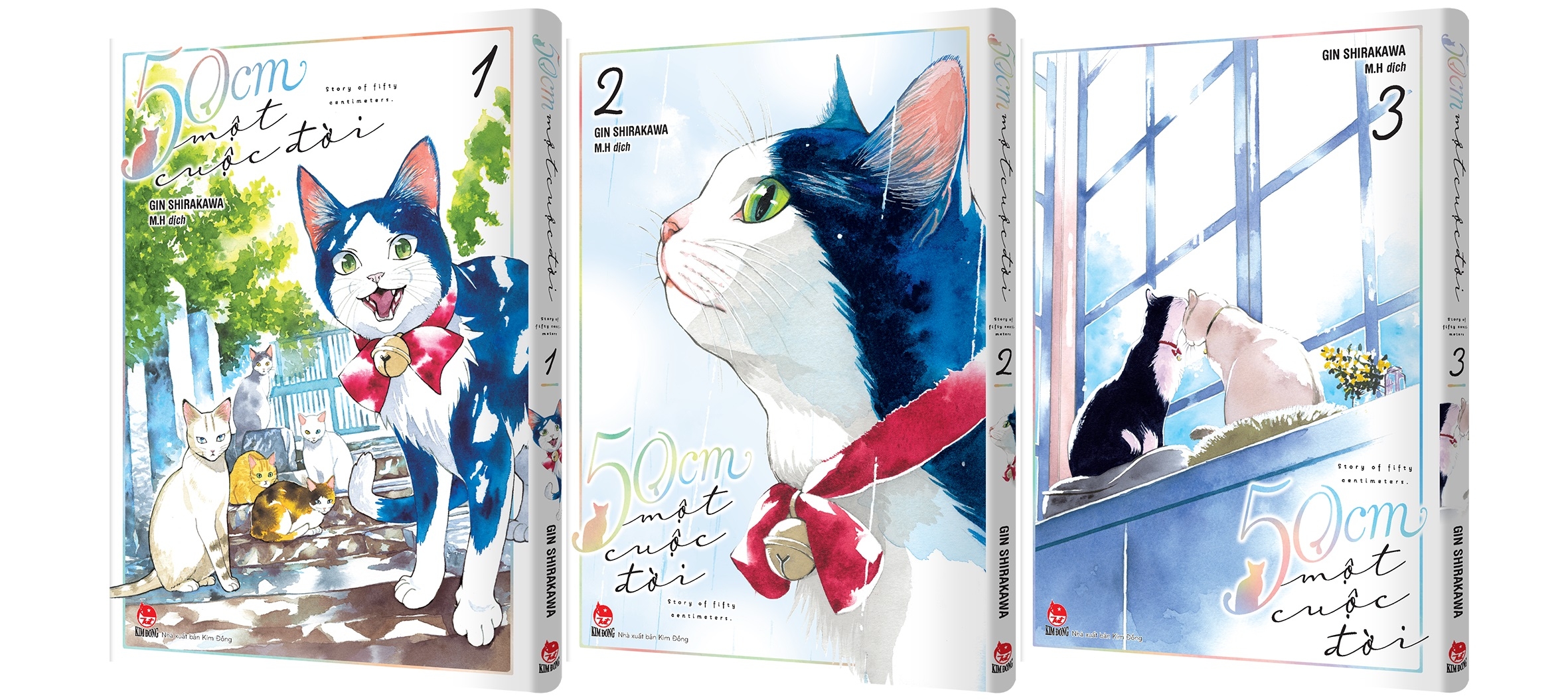 boxset 50cm một cuộc đời (bộ 3 tập) - Ảnh 2