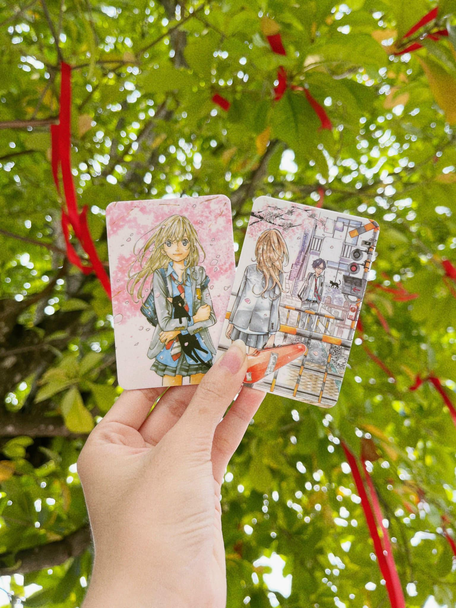 boxset lời nói dối tháng tư - tặng kèm 2 card nhựa hình nhân vật (bộ 12 tập) - Ảnh 6