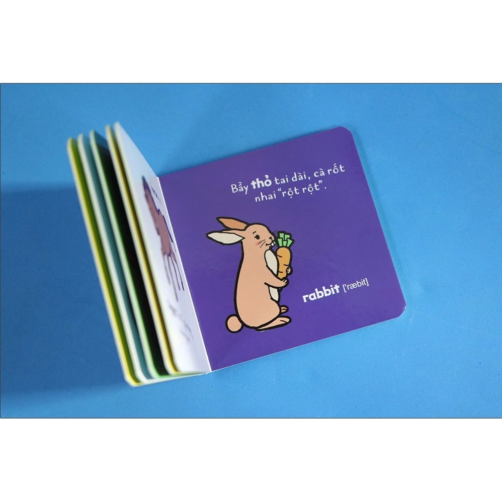Boxset Thư Viện Song Ngữ Đầu Tiên - Cho Bé 0-3 Tuổi (Hộp 6 Cuốn) (Tái Bản 2025) - Ảnh 6