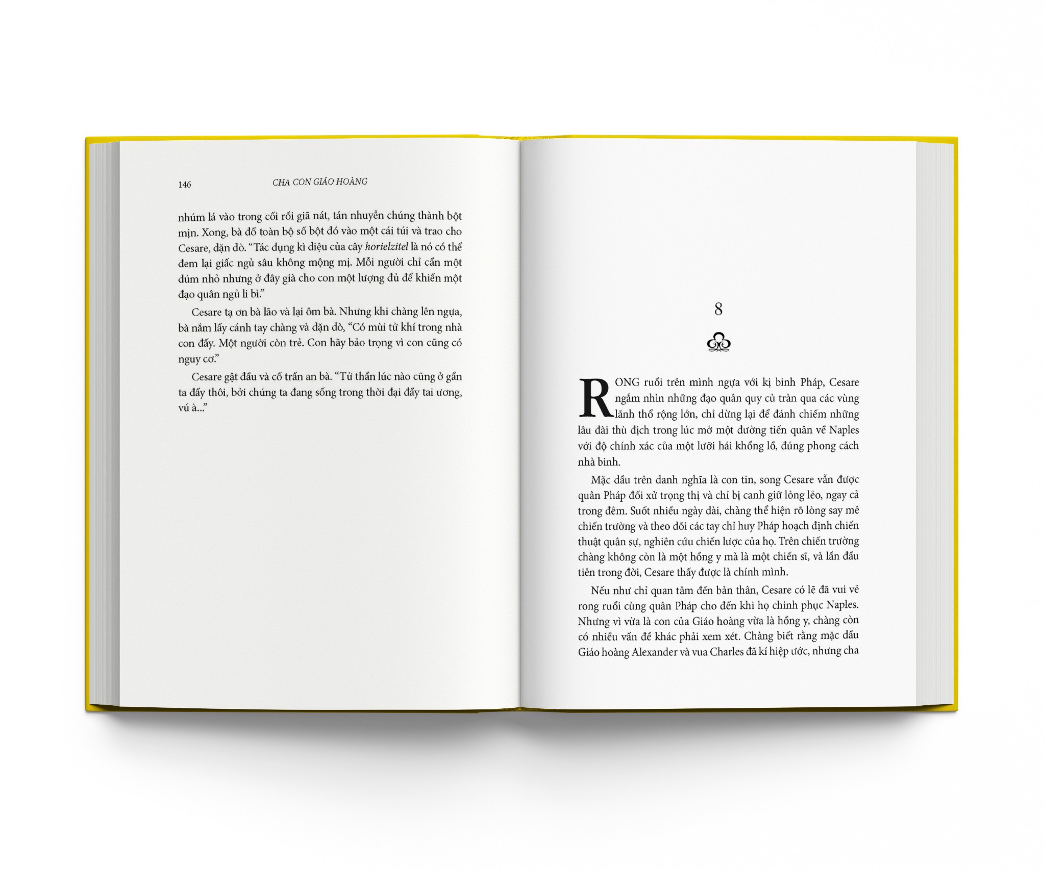 boxset tiểu thuyết của mario puzo (bộ 5 cuốn) - Ảnh 11