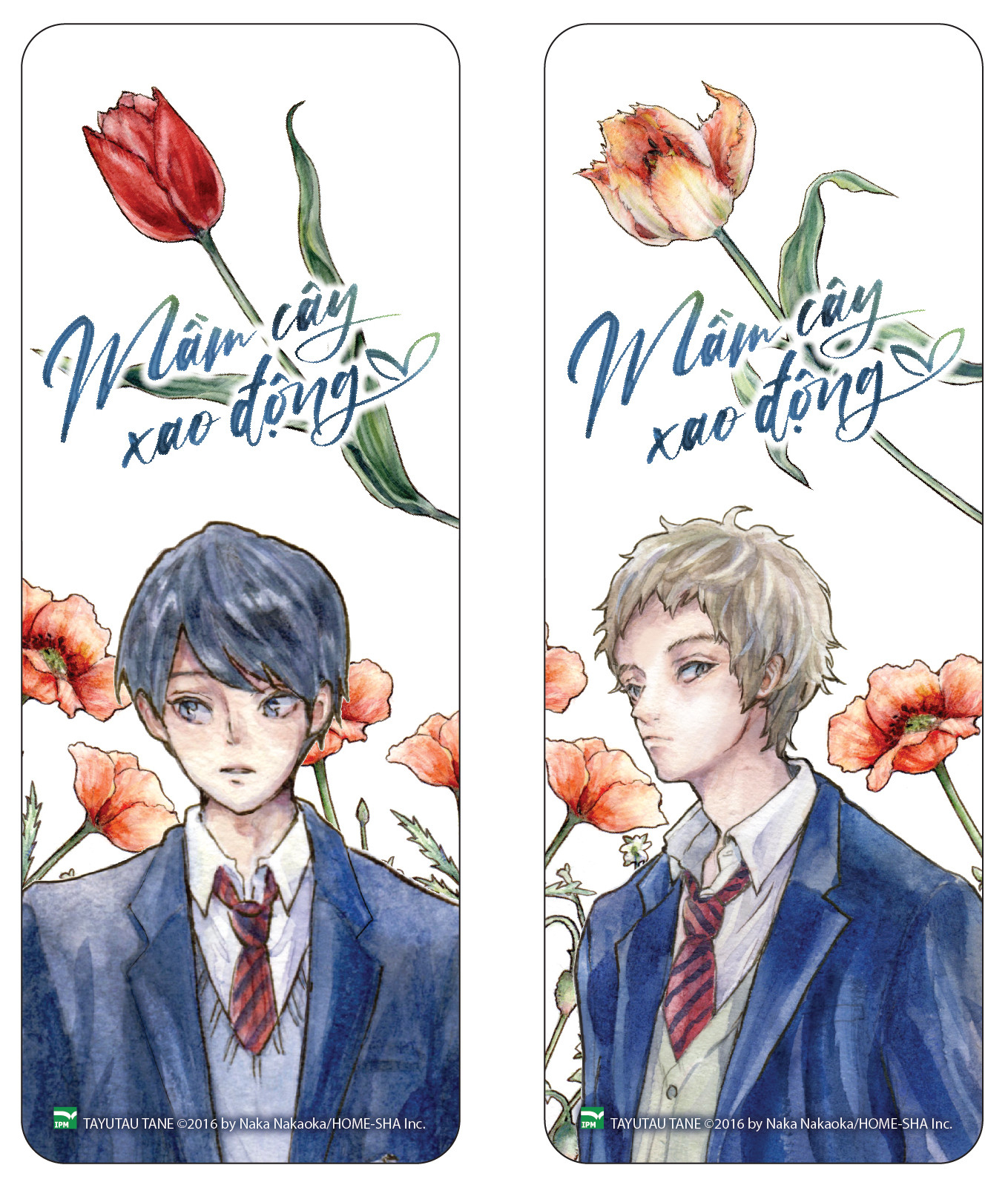 boxset tulip x mimosa - mầm cây xao động + cây lá mùa xuân (bộ 2 cuốn) - bản giới hạn - tặng kèm 1 hộp boxset + 4 bookmark + 2 bookmark case + 2 poster - Ảnh 10