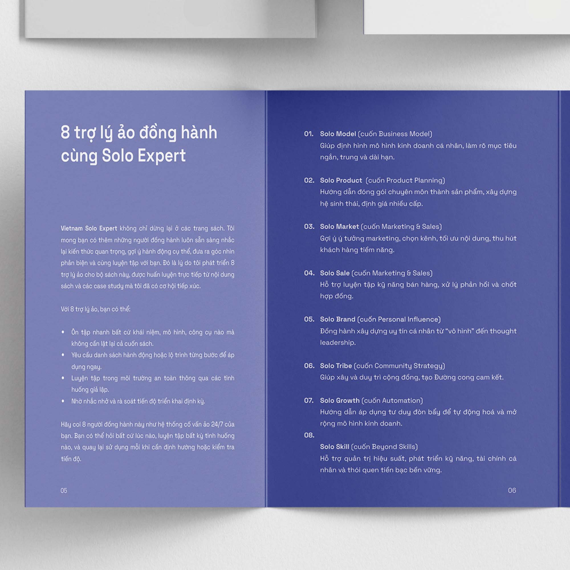 Boxset Vietnam Solo Expert - 7 Công Cụ Giúp Bạn Làm Chủ Sự Nghiệp Kinh Doanh Chuyên Môn Độc Lập (Hộp 7 Cuốn) - Ảnh 7