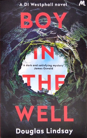 boy in the well - Ảnh 2