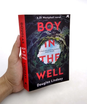 boy in the well - Ảnh 7