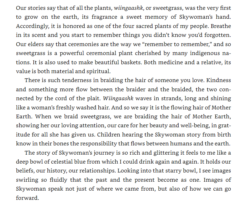 Braiding Sweetgrass - Ảnh 10